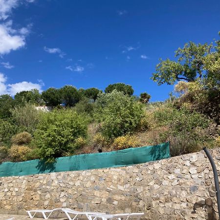 Casa Los Almendros Canillas de Albaida Dış mekan fotoğraf