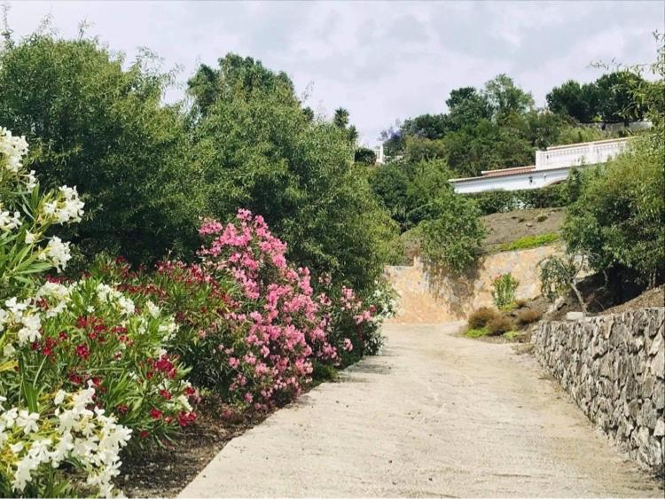 Casa Los Almendros Canillas de Albaida Dış mekan fotoğraf