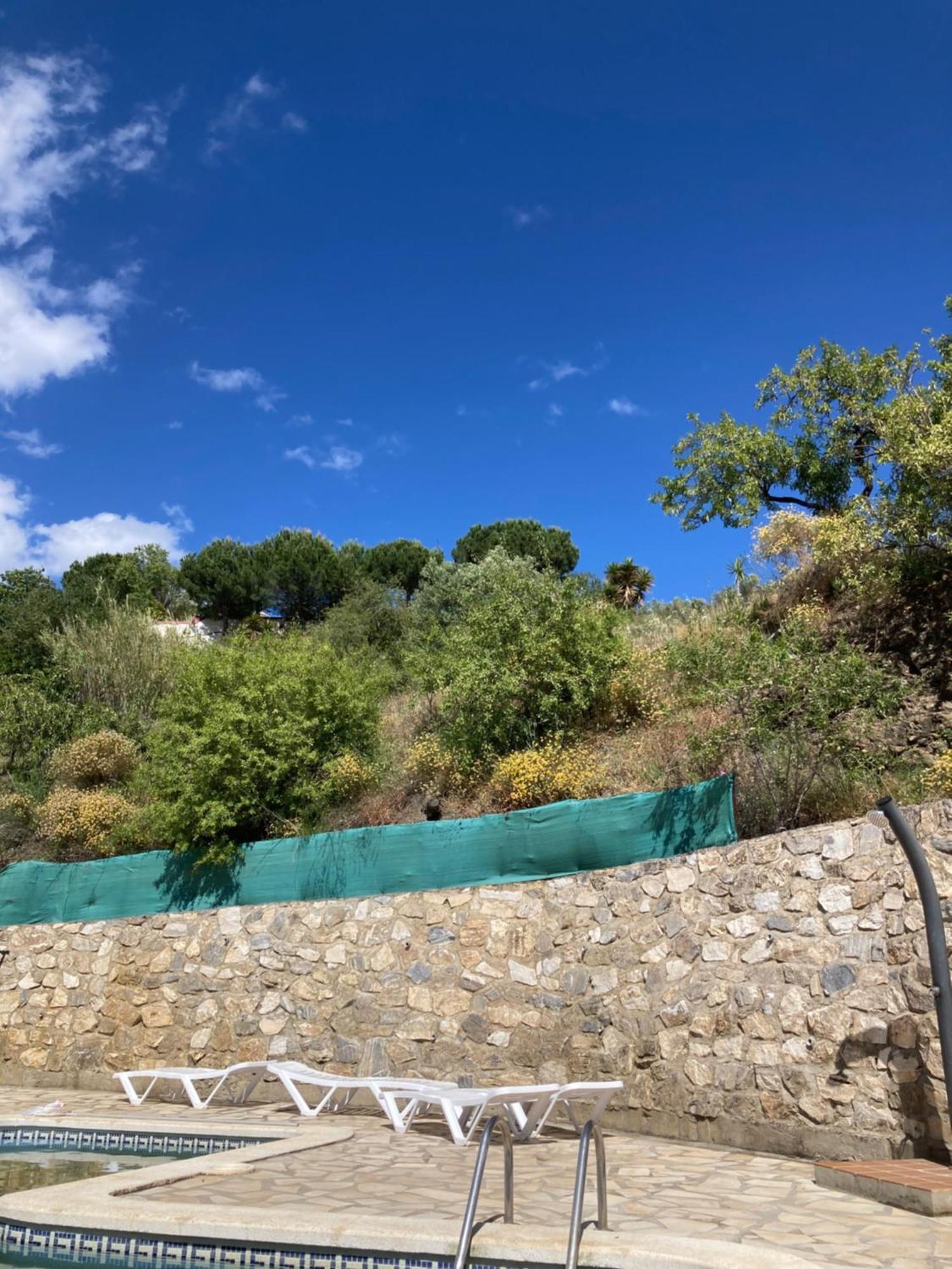 Casa Los Almendros Canillas de Albaida Dış mekan fotoğraf
